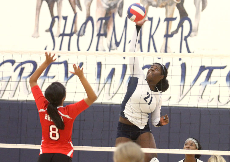 Volleyball: Shoemaker v. Belton